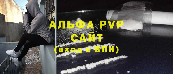 PSILOCYBIN Сафоново