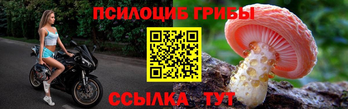 Галлюциногенные грибы мицелий Каменск-Шахтинский