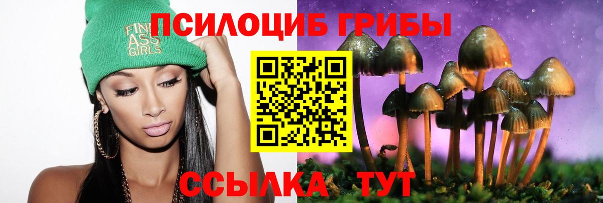 Псилоцибиновые грибы прущие грибы  Вход с VPN  Каменск-Шахтинский 